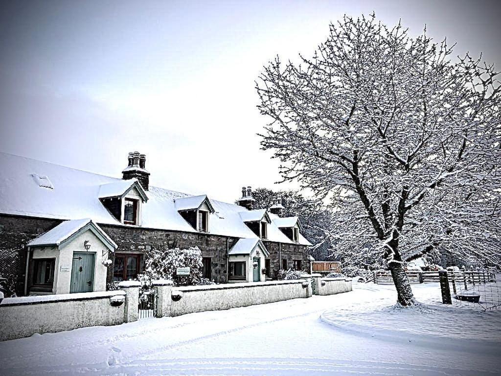Rosemount Bothy - Highland Cottage Garve Εξωτερικό φωτογραφία